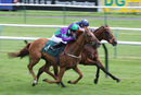 Race 3 - Eye Of The Storm (5)