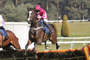 Race 3 - Farmer Boy (4)