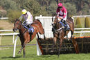 Race 3 - Farmer Boy (5)