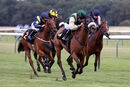 Race 3 - Fashion Free (11)