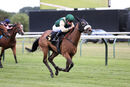 Race 3 - Fashion Free (16)
