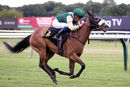 Race 3 - Fashion Free (18)