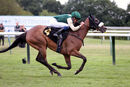 Race 3 - Fashion Free (21)