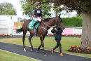 Race 3 - Fire Leopard (11)