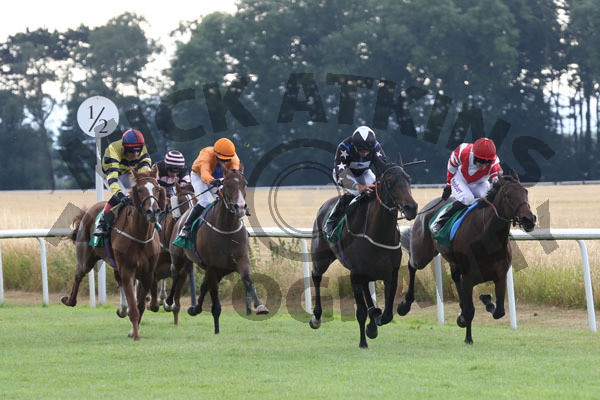 Race 3 - Fire Leopard (2)