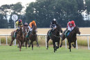 Race 3 - Fire Leopard (2)