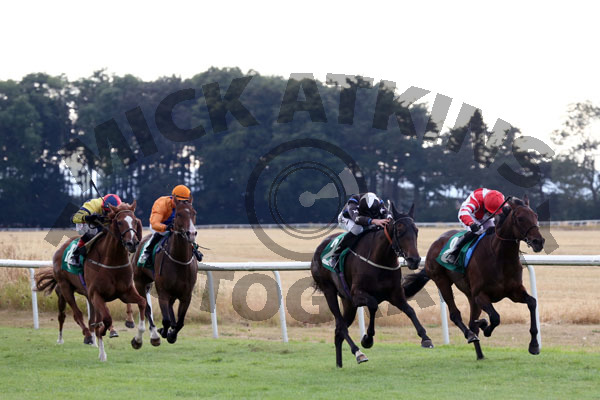 Race 3 - Fire Leopard (3)