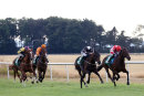 Race 3 - Fire Leopard (3)
