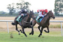 Race 3 - Fire Leopard (4)