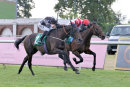 Race 3 - Fire Leopard (5)