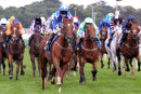 Race 3 - Flaming Spear (17)