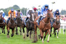 Race 3 - Flaming Spear (19)