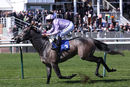 Race 3 - Garrus (10)