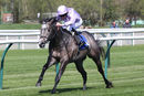 Race 3 - Garrus (3)