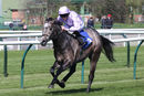 Race 3 - Garrus (4)