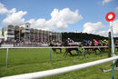 Race 3 - Gentleman At Arms (1)