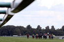 Race 3 - Gentleman At Arms (3)