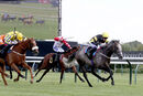 Race 3 - Gentleman At Arms (4)