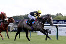 Race 3 - Gentleman At Arms (5)