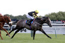 Race 3 - Gentleman At Arms (6)
