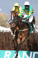 Race 3 - Gentleman De Mee (3)