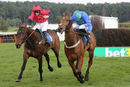 Race 3 - Global Domination (10)