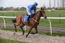 Race 3 - Global Domination (2)