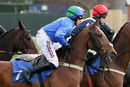 Race 3 - Global Domination (4)