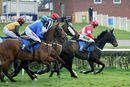 Race 3 - Global Domination (5)