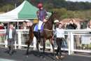 Race 3 - Grace And Danger (2)