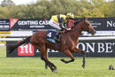 Race 3 - Grenoble (11)