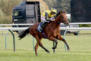 Race 3 - Grenoble (7)
