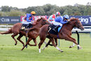 Race 3 - Hanaady (11)