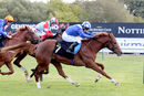 Race 3 - Hanaady (14)