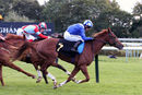 Race 3 - Hanaady (15)