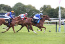 Race 3 - Hanaady (16)