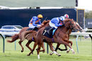 Race 3 - Hanaady (7)