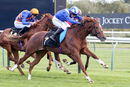 Race 3 - Hanaady (8)