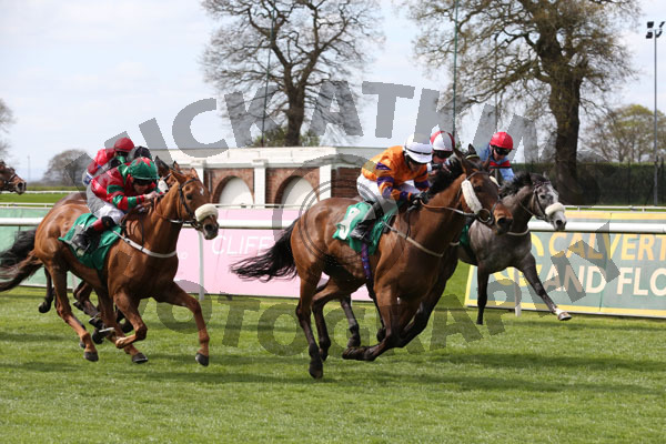 Race 3 - Harbour Patrol (7)
