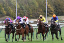 Race 3 - Hey Mr (5)