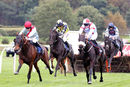 Race 3 - Honest Vic (4)