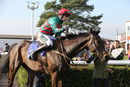 Race 3 - Hugos Reflection (12)
