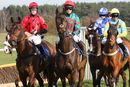 Race 3 - Hugos Reflection (2)