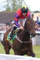 Race 3 - I'm A Gambler (5)