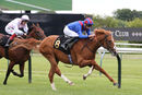 Race 3 - Injazati (10)