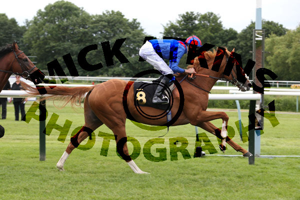 Race 3 - Injazati (12)