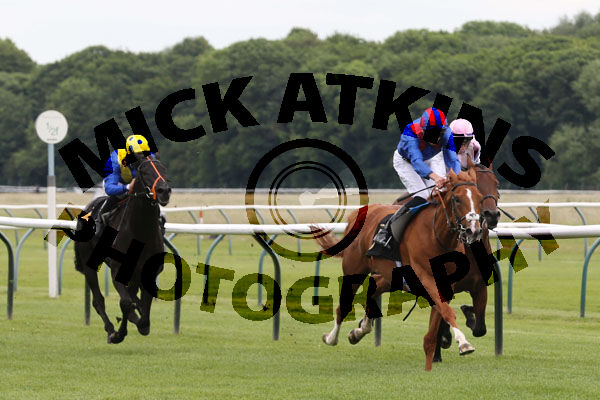 Race 3 - Injazati (4)