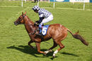 Race 3 - Irv (10)