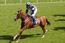 Race 3 - Irv (7)