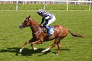 Race 3 - Irv (8)
